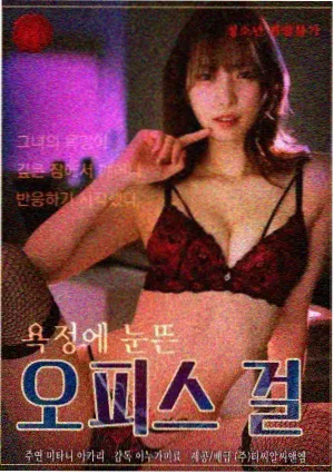 检察官日记 律政韩剧在线观看